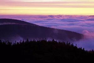 Images Dated 20th April 2004: From Sugarloaf Mtn. Sunrise, undercast, fog. Nash Stream State Forest. Northern Forest