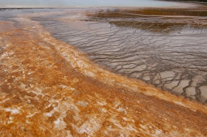 Images Dated 23rd May 2005: Sulphur Caldron, Yellowstone National Park, Wyoming, USA