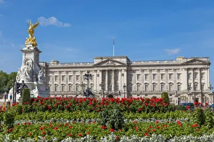 England Prints: Summer flowers in front of Buckingham Palace in London, United Kingdom