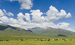 Summer pasture with traditional Yurts. The Suusamyr plain