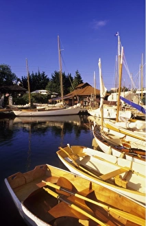 Images Dated 15th November 2007: Summer sunrise on boats docked