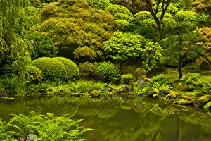 Moss Covered Prints: Summer, Upper Pond, Strolling Garden, Portland Japanese Garden, Portland, Oregon, USA