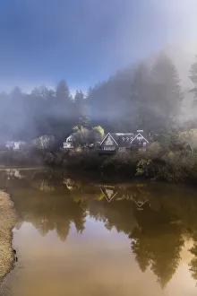 Clearing Prints: The sun breaking through the fog of a winter morning along the Russian River