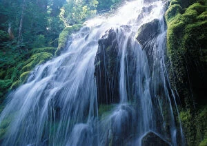 Images Dated 21st April 2005: The sun breaks through the thick tree canopy around Proxy Falls in the Oregon Cascades