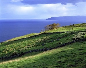 Head Land Prints: The sun lights the verdant headlands of Antrim Coast, Northern Ireland