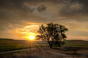 Flint Hills Prints: Sun rising over the Flint Hills with a country road