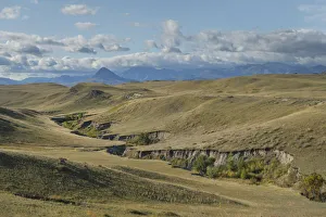 Sun River Wildlife Management Area near Augusta, Montana