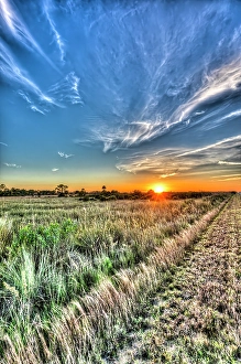 Prints of Sun setting over the Big Cypress National Preserve casts a warm glow over the prairie landscape Images Dated 2024 November: Sun setting over the Big Cypress National Preserve casts a warm glow over the prairie landscape