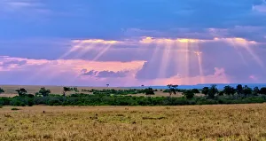 Mystical Prints: Sun setting on the Masai Mara