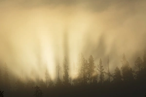 Images Dated 14th October 2017: Sunbeams over trees, Midway Geyser Basin, Yellowstone National Park, Wyoming / Montana