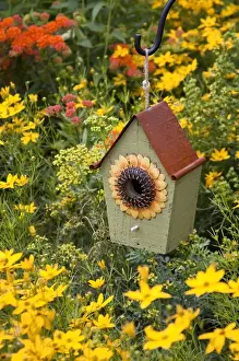 Fragrant Prints: Sunflower birdhouse in garden with Threadleaf Coreopsis (Coreopsis verticillata Golden
