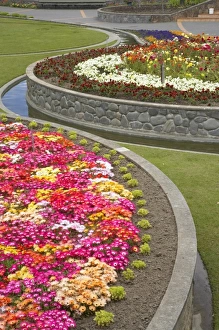 Hawkes Bay Prints: Sunken Garden, Marine Parade, Napier, Hawkes Bay, North Island, New Zealand