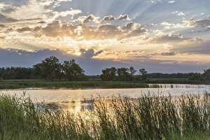 Images Dated 26th June 2012: Sunrise over backwater of the Milk River near Glasgow, Montana, USA