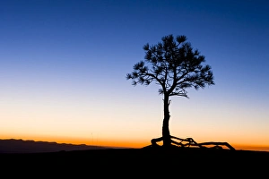 Bryce Prints: Before sunrise at Bryce Canyon National Park. Utah. US