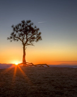 Sunrise at Bryce Canyon National Park. Utah. US