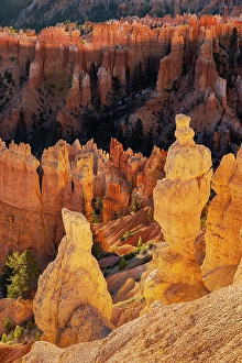 Images Dated 19th January 2024: Sunrise at Bryce Canyon National Park, Utah