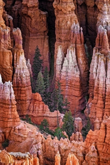 Images Dated 19th January 2024: Sunrise at Bryce Canyon National Park, Utah