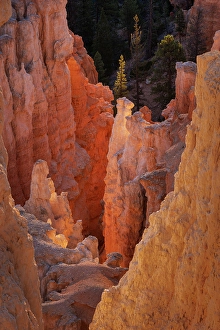 Images Dated 19th January 2024: Sunrise at Bryce Canyon National Park, Utah