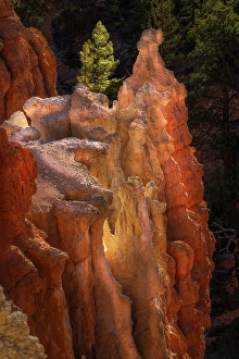 Images Dated 19th January 2024: Sunrise at Bryce Canyon National Park, Utah