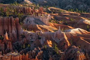 Images Dated 19th January 2024: Sunrise at Bryce Canyon National Park, Utah