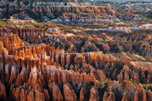 Images Dated 19th January 2024: Sunrise at Bryce Canyon National Park, Utah