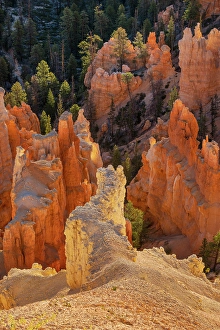 Images Dated 19th January 2024: Sunrise at Bryce Canyon National Park, Utah
