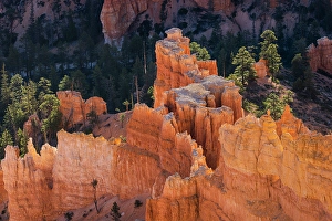 Images Dated 19th January 2024: Sunrise at Bryce Canyon National Park, Utah