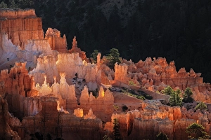 Images Dated 19th January 2024: Sunrise at Bryce Canyon National Park, Utah