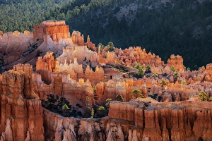 Images Dated 19th January 2024: Sunrise at Bryce Canyon National Park, Utah