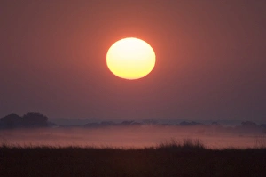 Images Dated 17th July 2007: Sunrise, Busanga Plains, Kafue National Park, Zambia