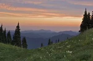 Sunrise-colored clouds over a field of wildflowers in the Tatoosh Wilderness looking