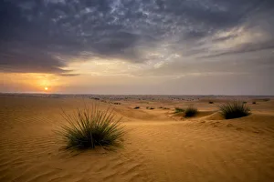 Images Dated 20th January 2017: Sunrise in the desert. Abu Dhabi, UAE