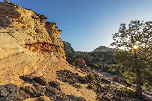 Sunrise on the eastside in Zion National Park, Utah, USA