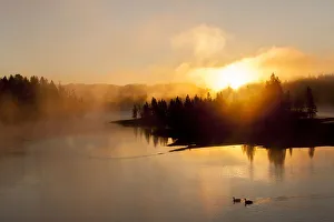 Images Dated 10th August 2015: Sunrise at Fishing Bridge. Yellowstone National Park. Wyoming