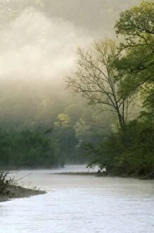 Sunrise through fog viewed from Red Bluff, Mile 102 on the Buffalo River, Buffalo National River