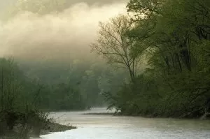Images Dated 17th April 2006: Sunrise through fog viewed from Red Bluff, Mile 102 on the Buffalo River, Buffalo National River