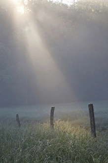 Sunrise on foggy frosty morning, Cades Cove, Great Smoky Mountains National Park