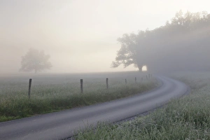 Images Dated 5th May 2011: Sunrise on foggy frosty morning, Cades Cove, Great Smoky Mountains National Park