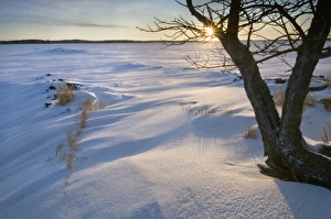Images Dated 21st February 2007: Sunrise, from the Grassy Islands, Lake Kabetogama, Voyageurs National Park, Minnesota