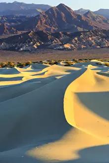 Sand Dunes Prints: Sunrise highlights the texture along the ridgeline of a sand dune in the Mesquite