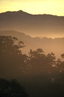 Images Dated 12th July 2010: Sunrise over the hills above Napa Valley near Rutherford, Napa County, California, U. S. A