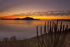 Sea Of Cortez Prints: The sunrise over Isla Danzante in the Gulf of California from near Loreto Mexico