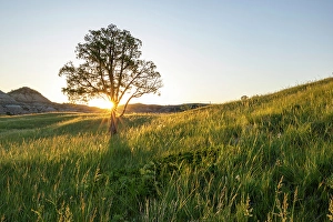 Prints of Sunrise in the Jones Creek area in Theodore Roosevelt National Park, North Dakota, USA. (Editorial Use Only) Images Dated 2024 September: Sunrise in the Jones Creek area in Theodore Roosevelt National Park