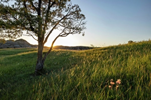 Prints of Sunrise in the Jones Creek area in Theodore Roosevelt National Park, North Dakota, USA. (Editorial Use Only) Images Dated 2024 September: Sunrise in the Jones Creek area in Theodore Roosevelt National Park