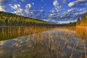 Bull Rush Prints: Sunrise lights clouds over Spencer Lake near Whitefish Montana