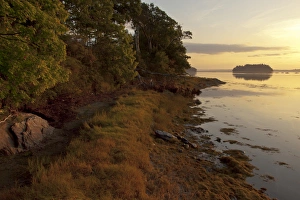 Salt Water Prints: Sunrise, low tide, Casco Bay, Atlantic Ocean, Maine