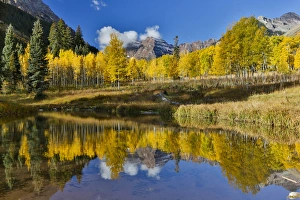 Images Dated 3rd October 2016: Sunrise Marron Bells autumn colors on aspens with pond reflection