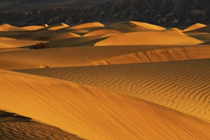 Stovepipe Wells Prints: Sunrise on the Mesquite Flat Sand Dunes; Stovepipe Wells, Death Valley National