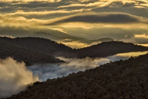 Images Dated 2000: Sunrise and mountain mist, Blue Ridge Mountains from Blue Ridge Parkway near Brevard