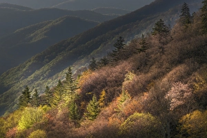 Great Smoky Mountain Prints: Sunrise, Oconaluftee Valley, Great Smoky Mountains National Park, North Carolina